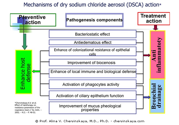 Effect of Dry Sodium Chloride Aerosol on Bronchopulmonary System